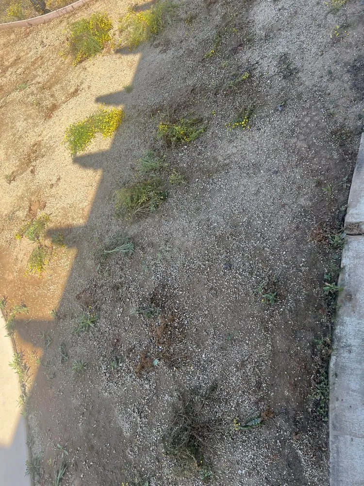 Expert outdoor landscaping experts serving Lake Elsinore, CA - JC Landscape