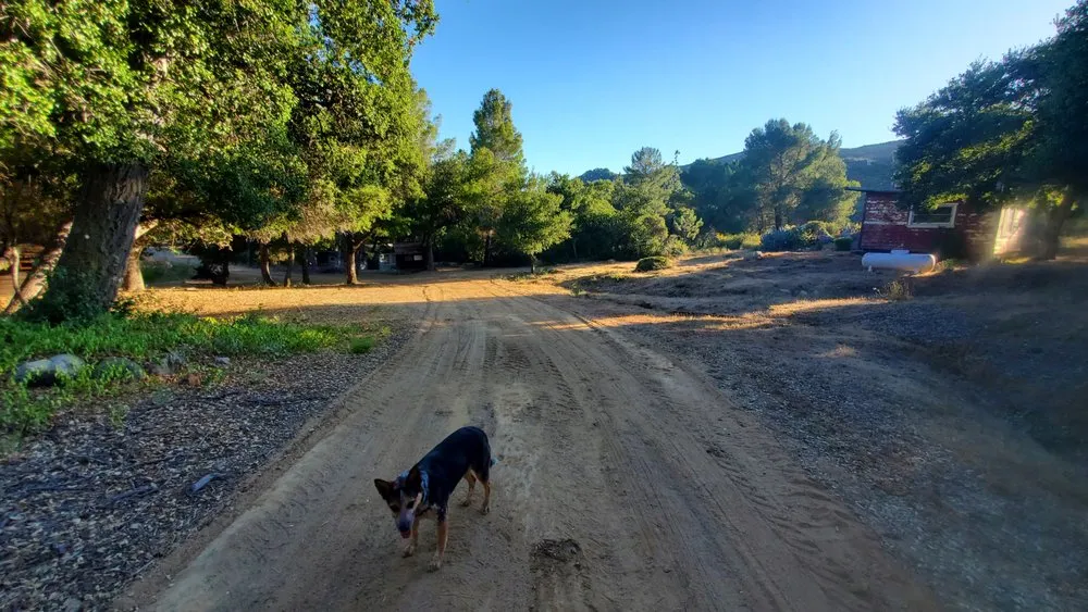 Custom lawn mowing service in Lake Elsinore, CA by JC Landscape