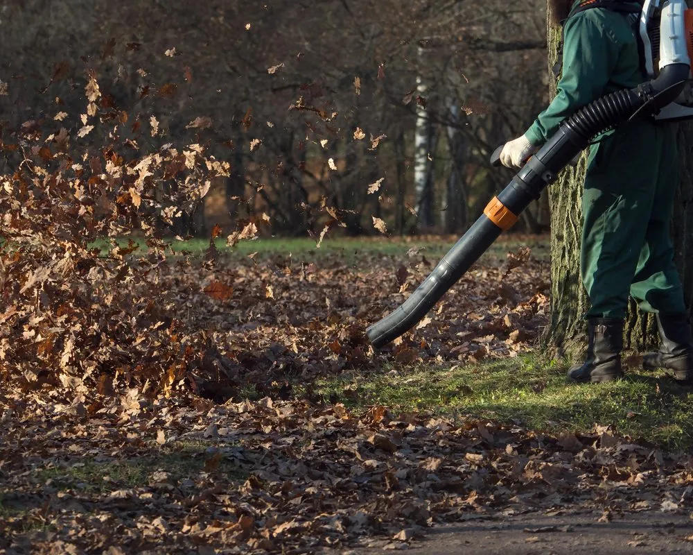 Expert yard maintenance in Orlando, FL by JC Landscape