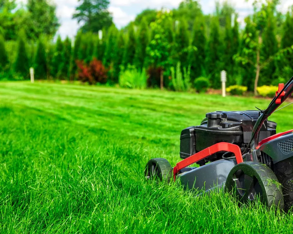 Affordable yard cleanup service in Orlando, FL - JC Landscape