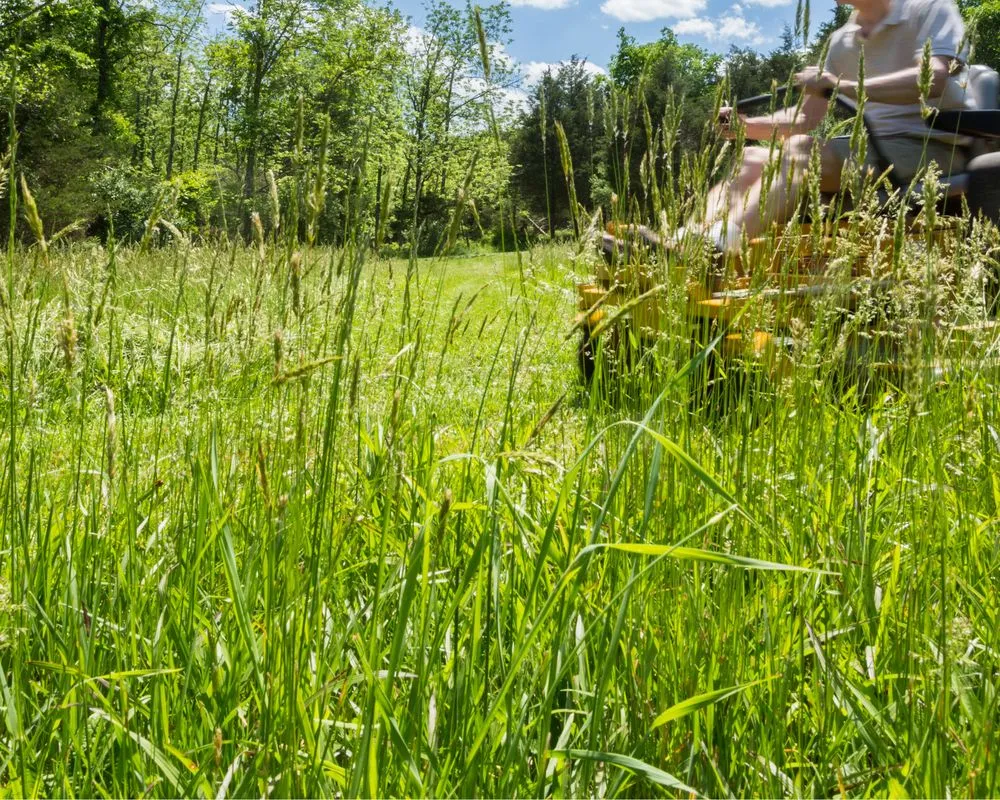 Top-rated landscape installation in Orlando, FL - JC Landscape