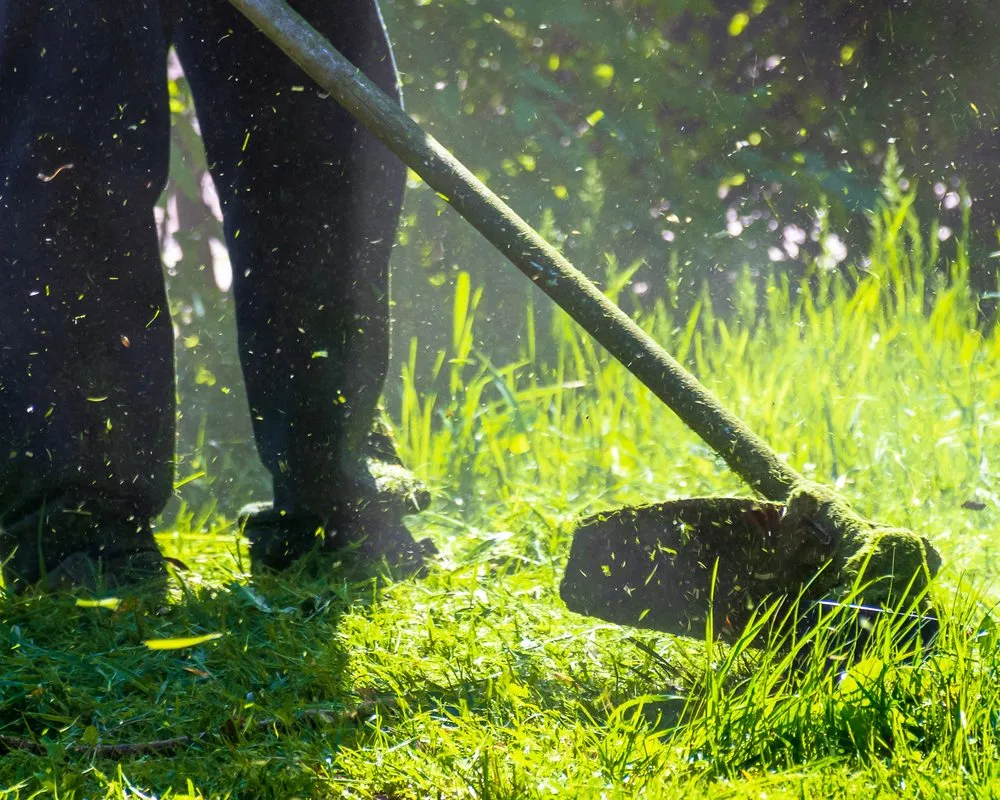 Affordable lawn care service in Orlando, FL - JC Landscape