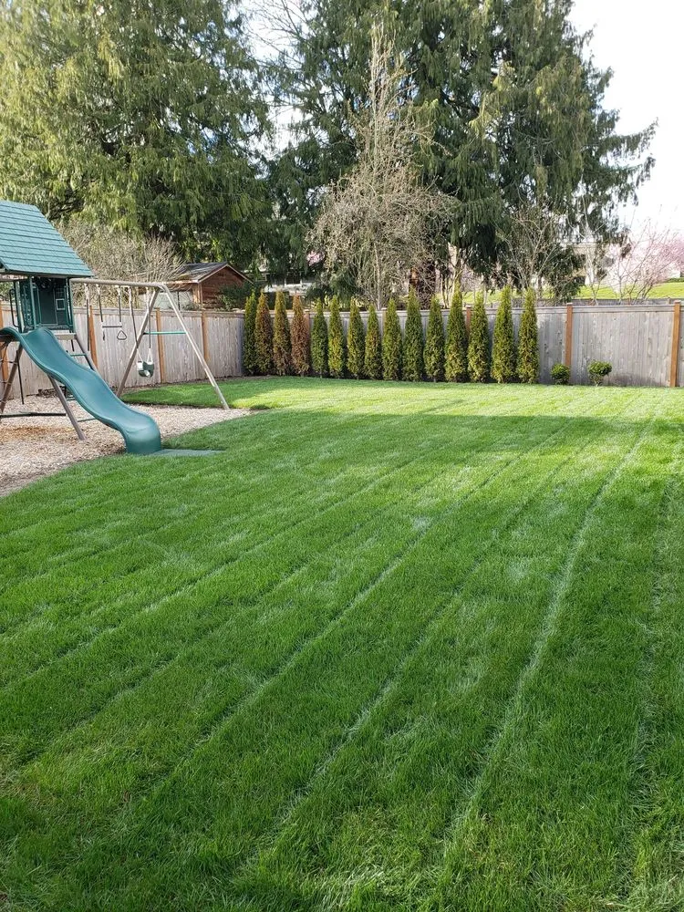 Affordable yard maintenance near you in Renton, WA by JC Landscape