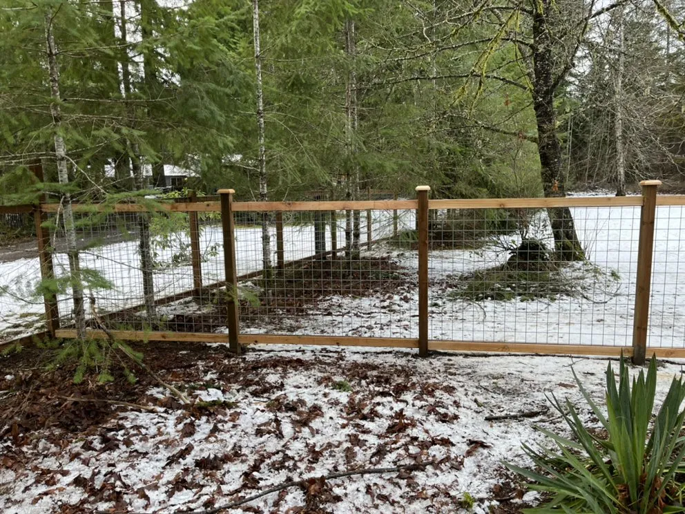 Expert yard cleanup service with custom design in Marysville, WA by JC Landscape Solutions