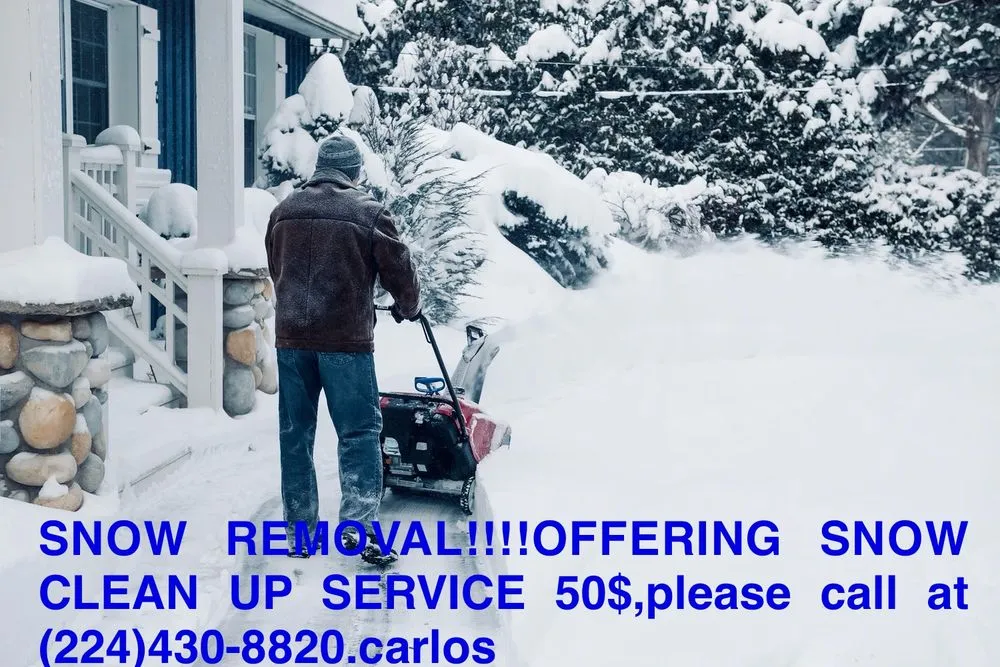 Reliable yard cleanup service in Waukegan, IL - JC Landscapes