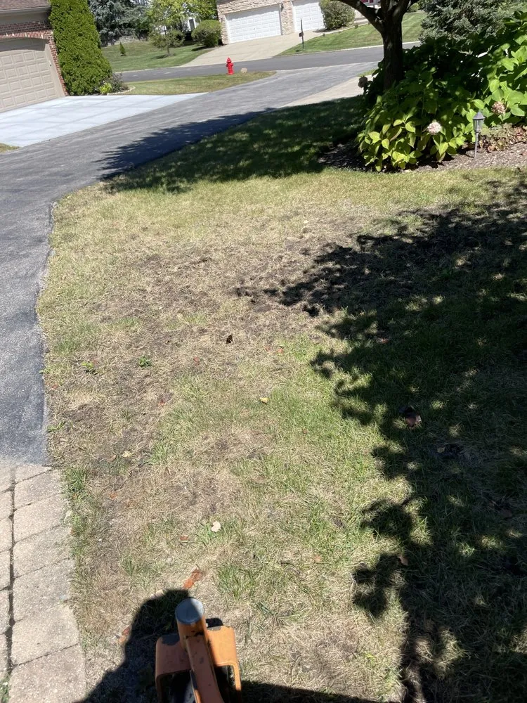 Trusted lawn care service in Waukegan, IL - JC Landscapes