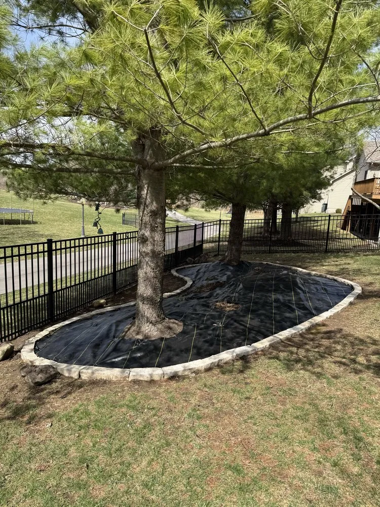 Expert yard cleanup service in Champaign, IL by JC Landscaping & Construction Services