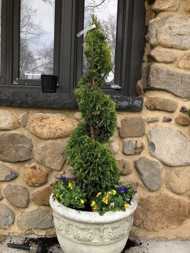 Professional yard maintenance in Queens, NY - JC Landscaping & Design