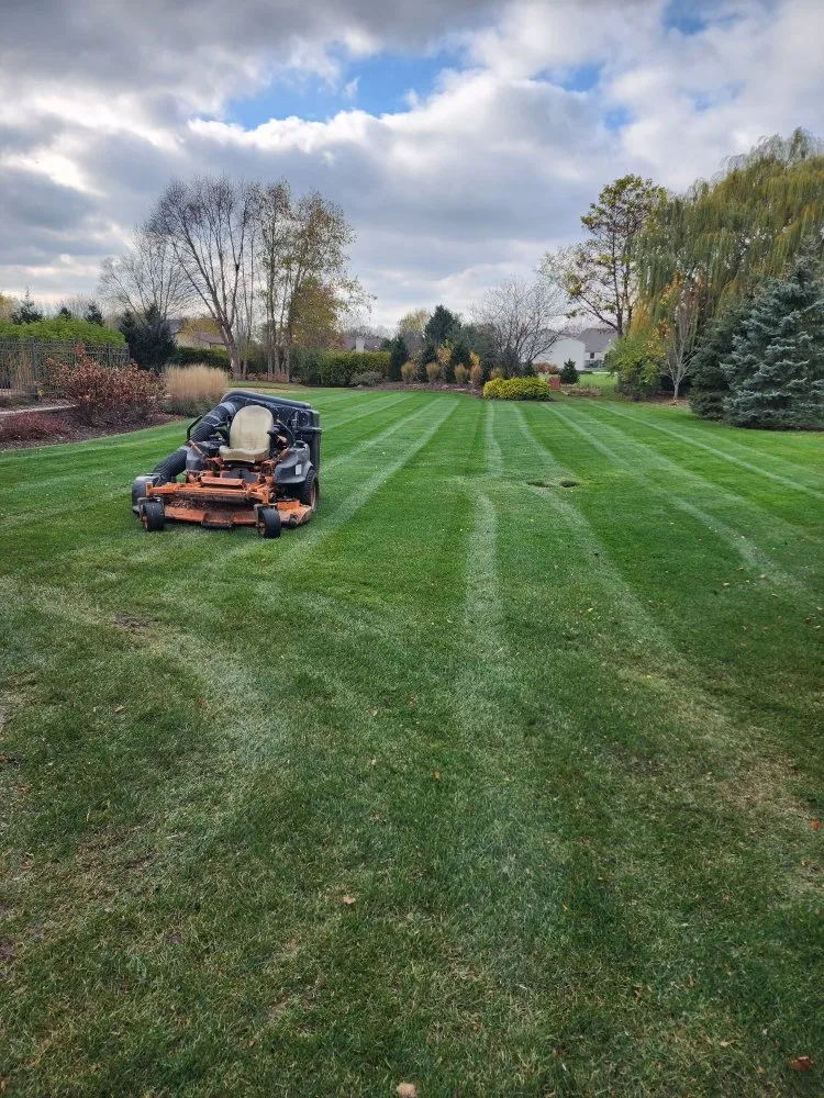 Professional landscaping services in University Park, IL by JC Landscaping & Maintenance