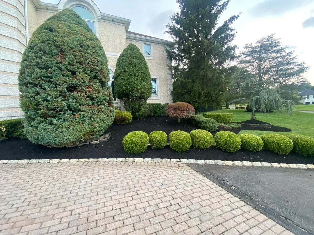 Reliable yard cleanup service near you across Manchester, NJ - JC Landscaping & Pavers
