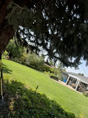 J&C Landscaping & Services