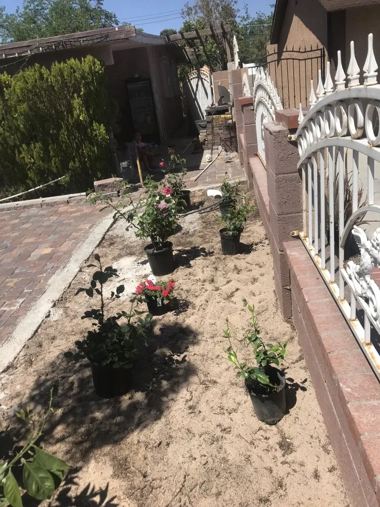 Trusted lawn mowing service in Las Vegas, NV - JC Landscaping and Concrete