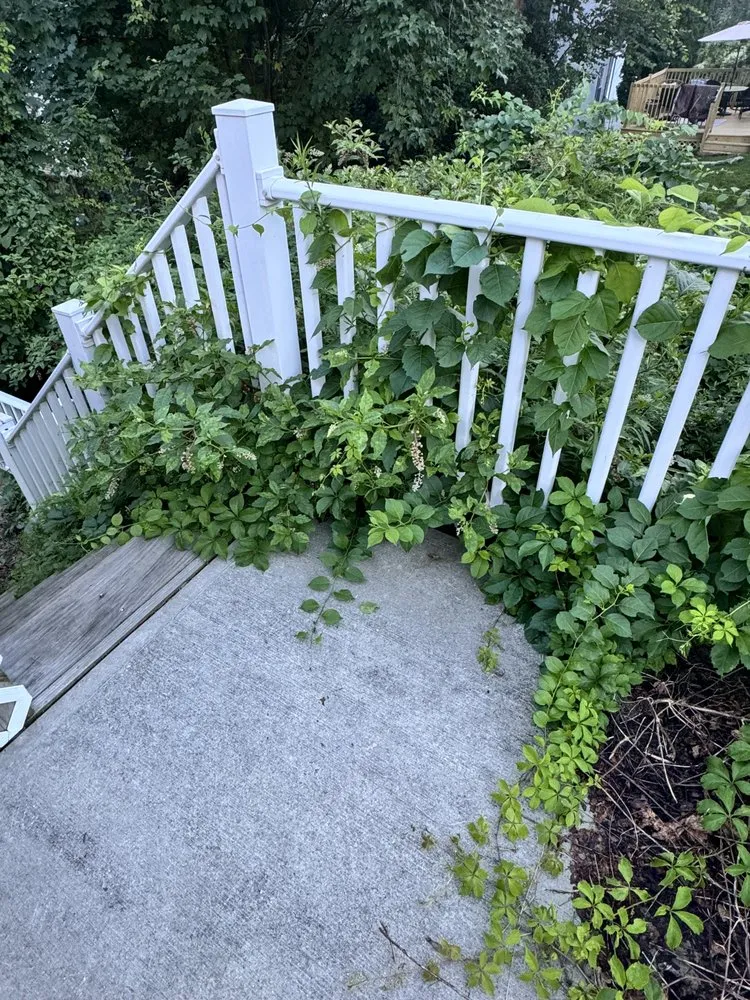 Affordable yard cleanup service experts serving New London, CT - Jc Landscaping And Maintenance