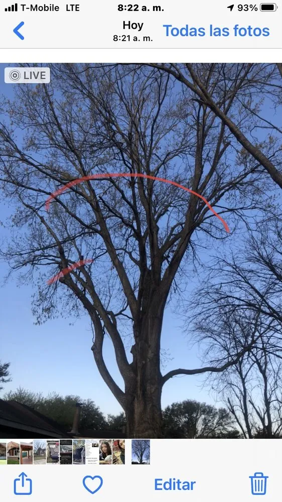 Top-rated landscape installation near you in Houston, TX by JC Landscaping And Tree Service