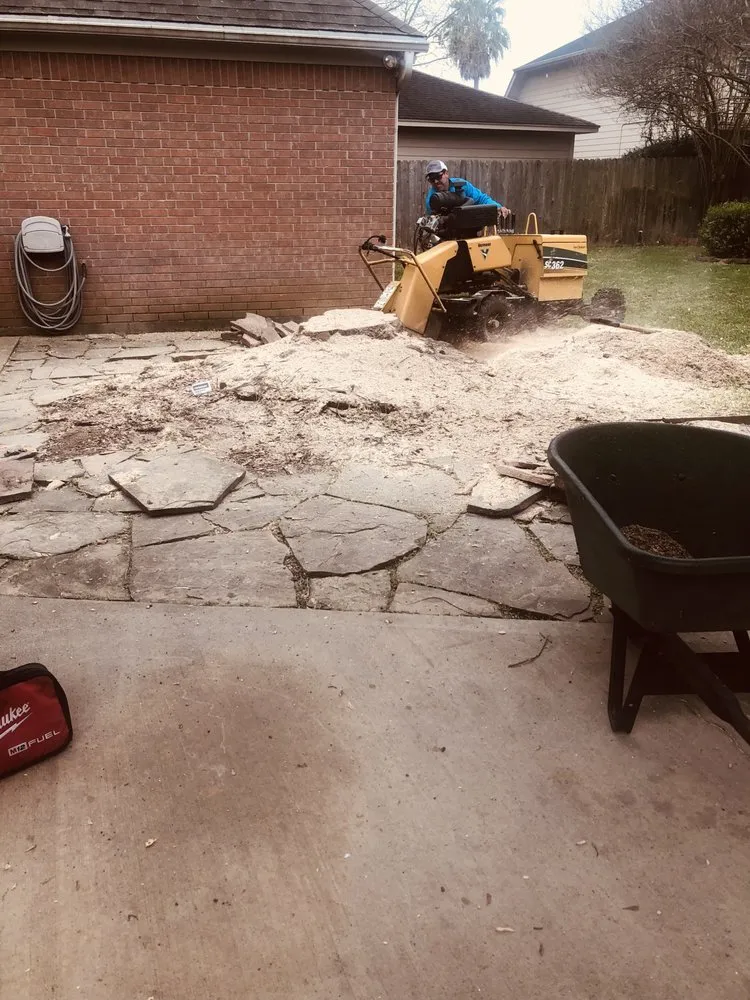 Affordable yard cleanup service in Houston, TX - JC Landscaping And Tree Service