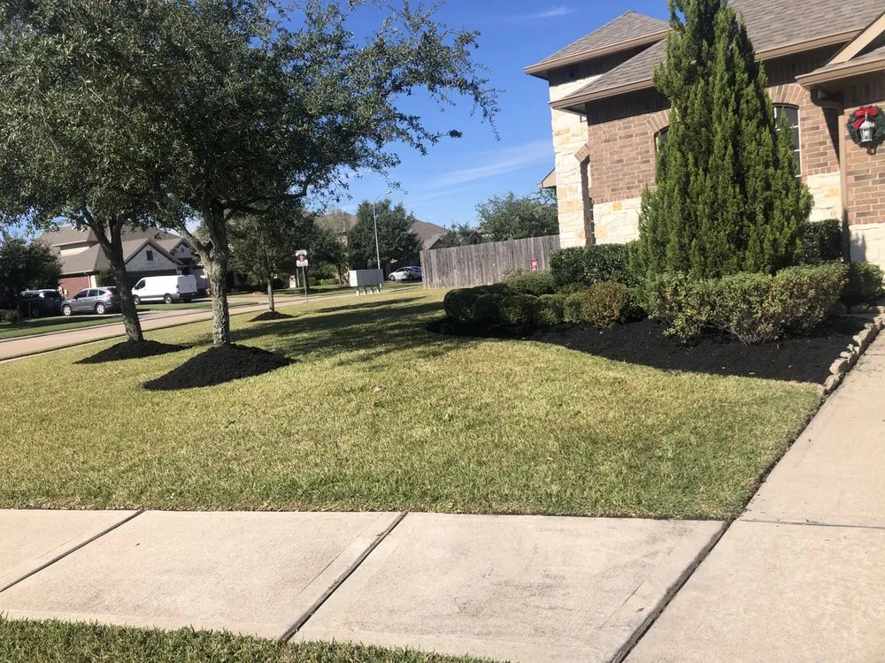 Local yard cleanup service in Houston, TX by JC Landscaping And Tree Service