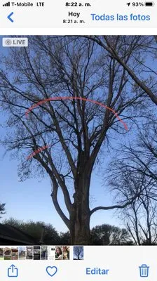 JC Landscaping And Tree Service Logo