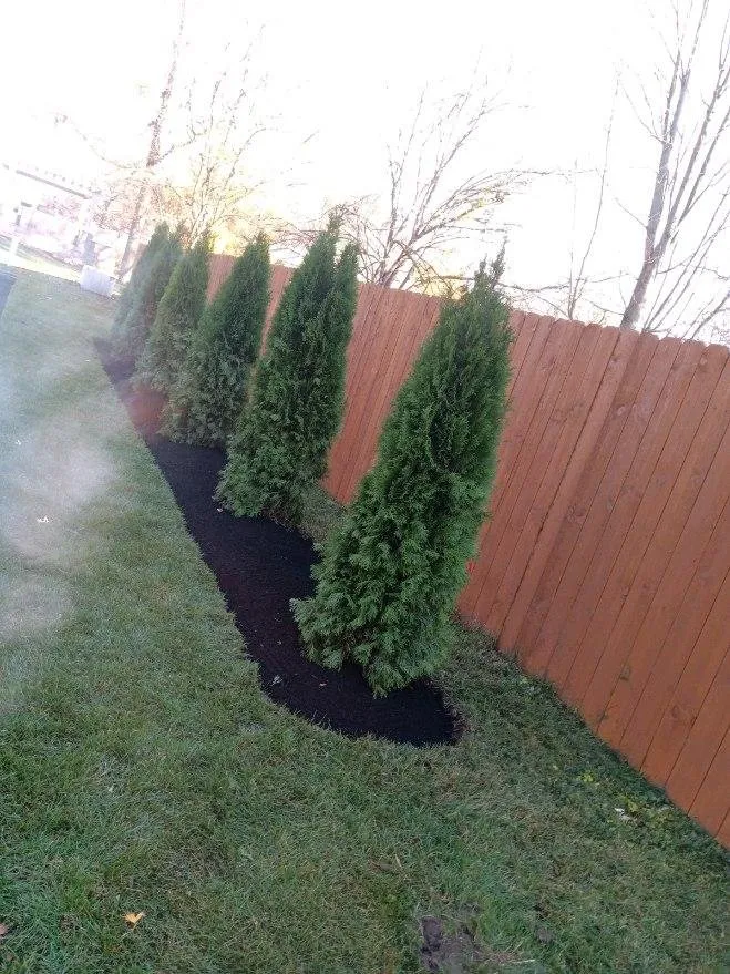 Top-rated yard maintenance experts serving Anderson, IN - JC Landscaping