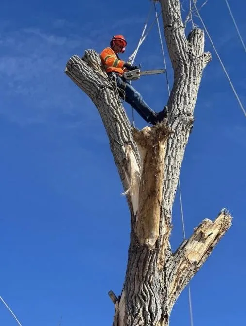 Professional outdoor landscaping for beautiful yards in Aurora, CO by JC Landscaping