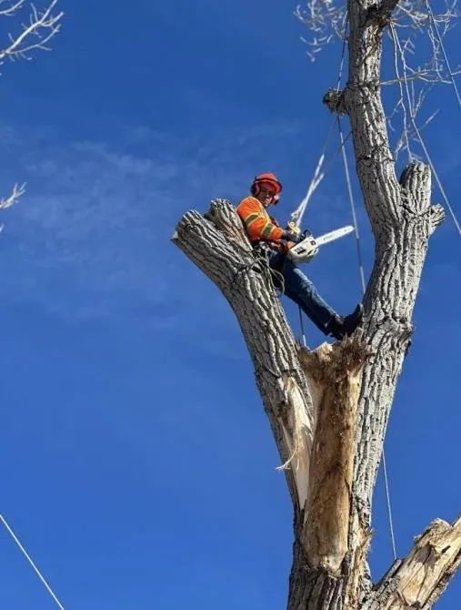 Reliable residential landscaping experts serving Aurora, CO - JC Landscaping