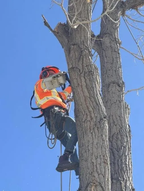 Custom lawn mowing service for homes across Aurora, CO - JC Landscaping