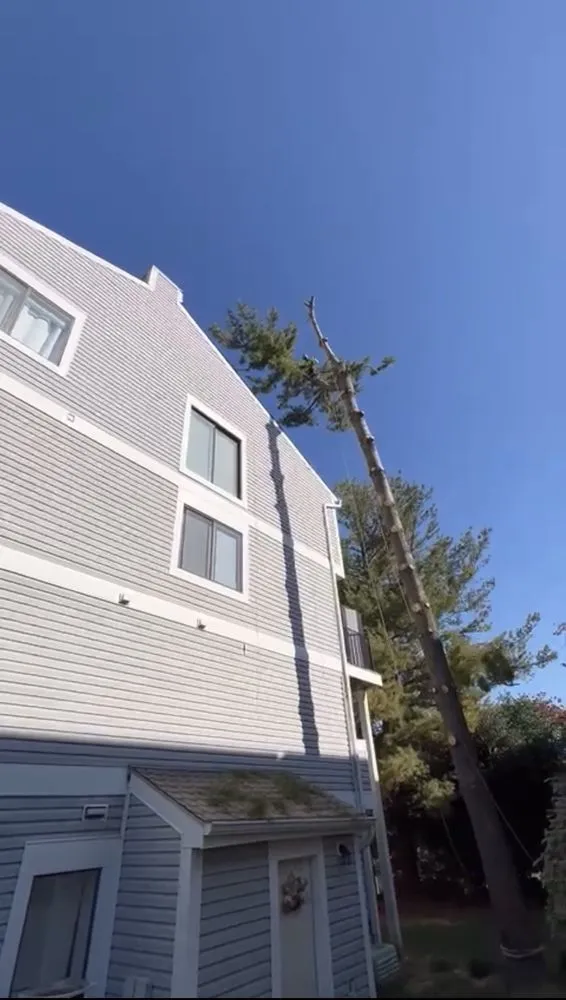 Custom landscape installation for beautiful yards across Bowie, MD - JC Landscaping