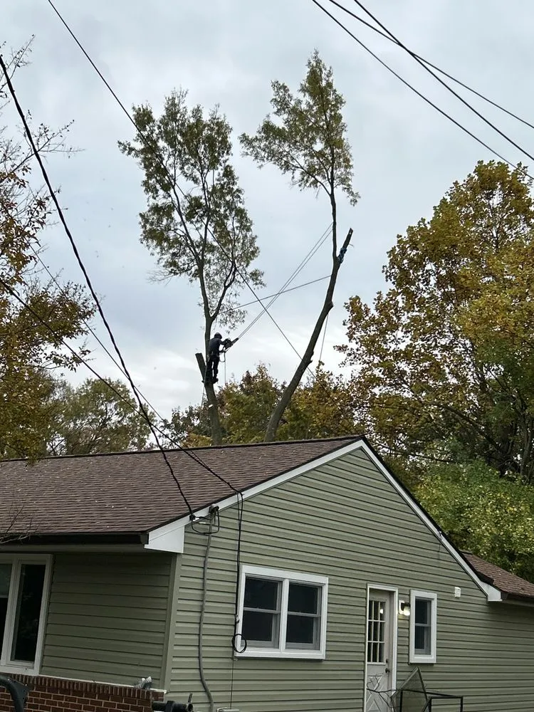 Custom garden landscaping experts serving Bowie, MD - JC Landscaping