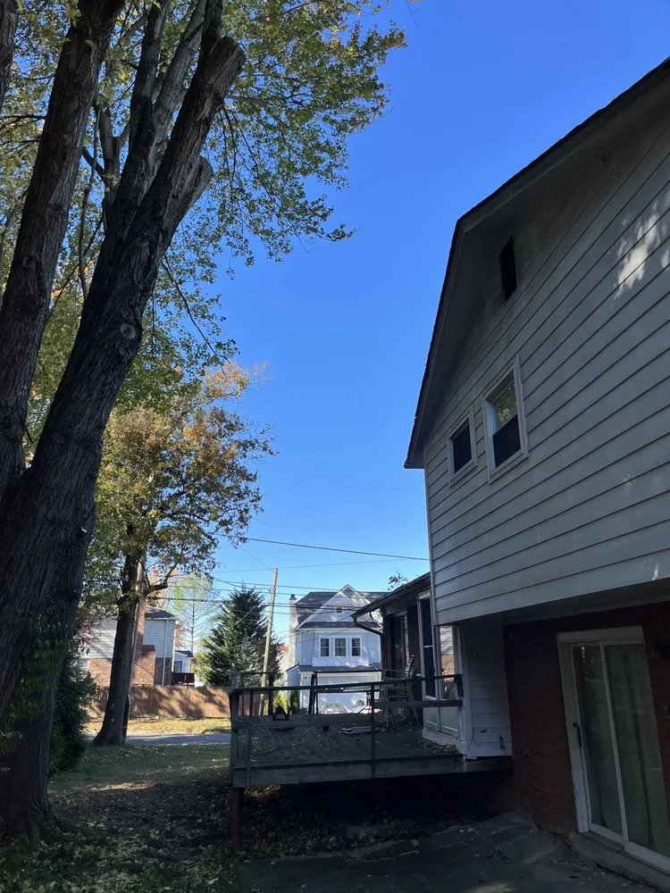 Top-rated yard cleanup service for year-round maintenance across Bowie, MD - JC Landscaping