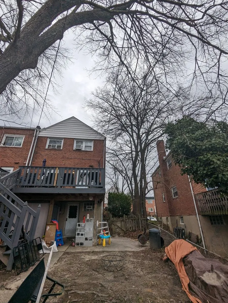 Professional landscape installation in Bowie, MD by JC Landscaping