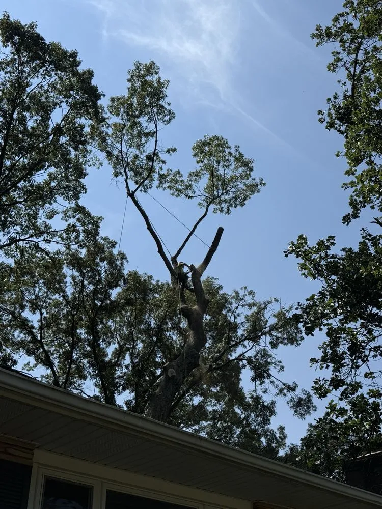 Affordable lawn care service in Bowie, MD - JC Landscaping