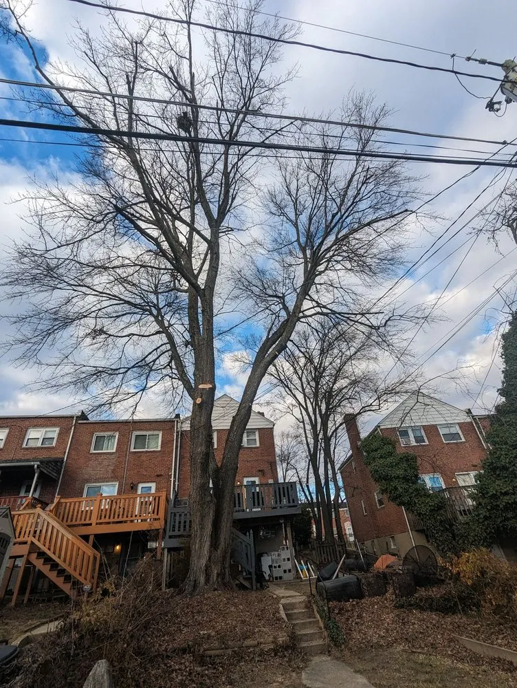 Local garden landscaping for outdoor upgrades in Bowie, MD by JC Landscaping