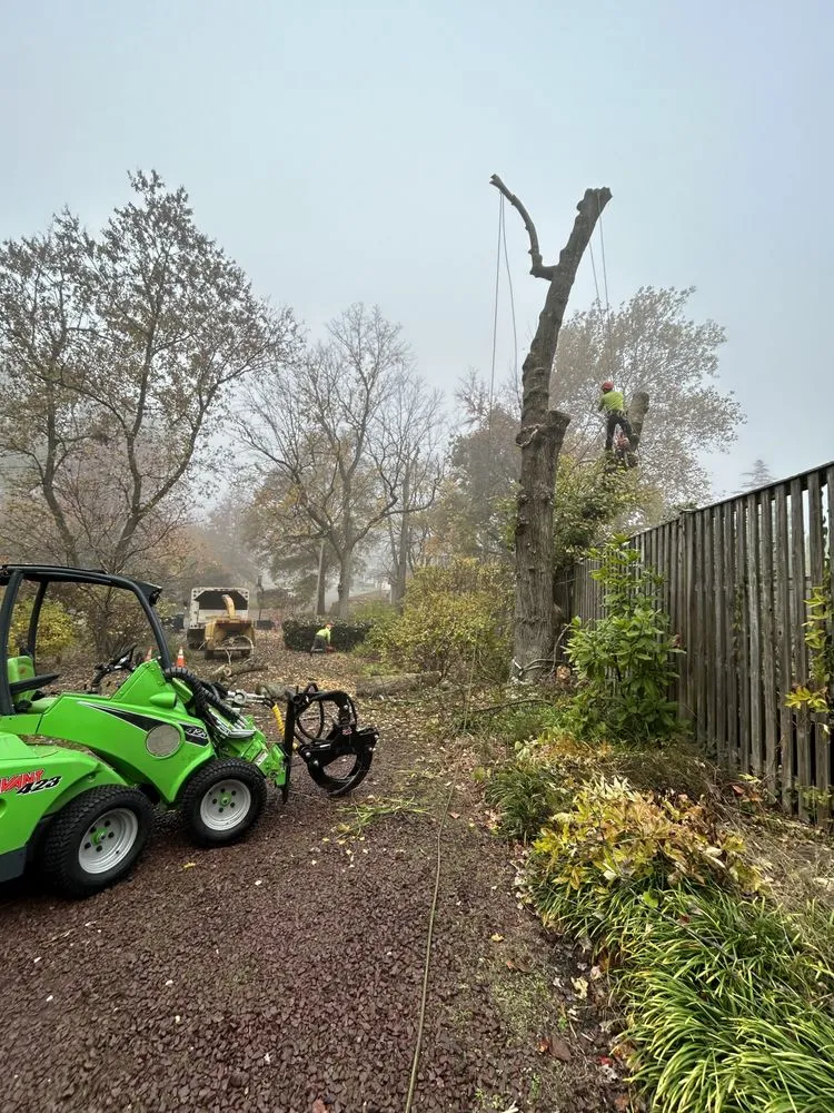 Custom residential landscaping for year-round maintenance in Bowie, MD by JC Landscaping
