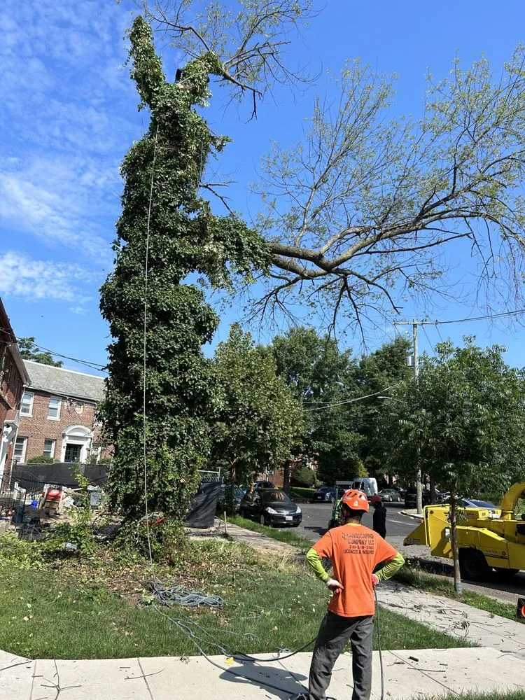 Expert landscape design in Bowie, MD by JC Landscaping