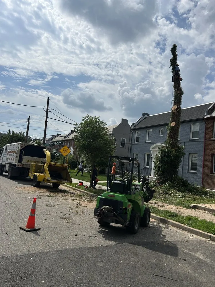 Professional garden landscaping in Bowie, MD by JC Landscaping