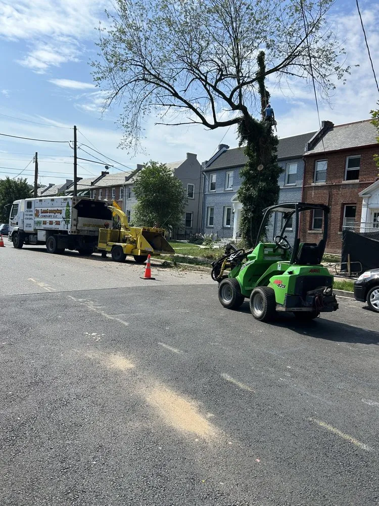 Affordable lawn mowing service in Bowie, MD by JC Landscaping