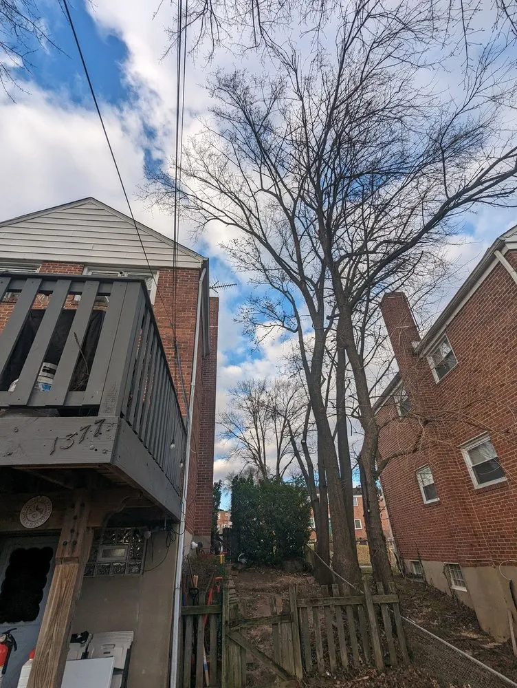 Local outdoor landscaping in Bowie, MD by JC Landscaping