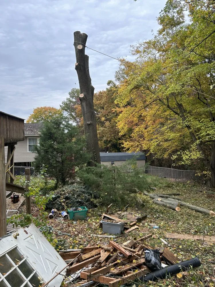 Professional landscape installation in Bowie, MD - JC Landscaping