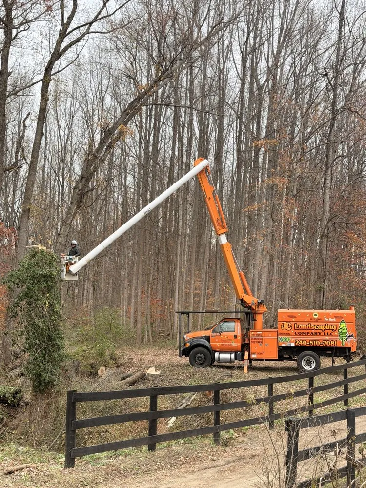 Expert outdoor landscaping in Bowie, MD by JC Landscaping