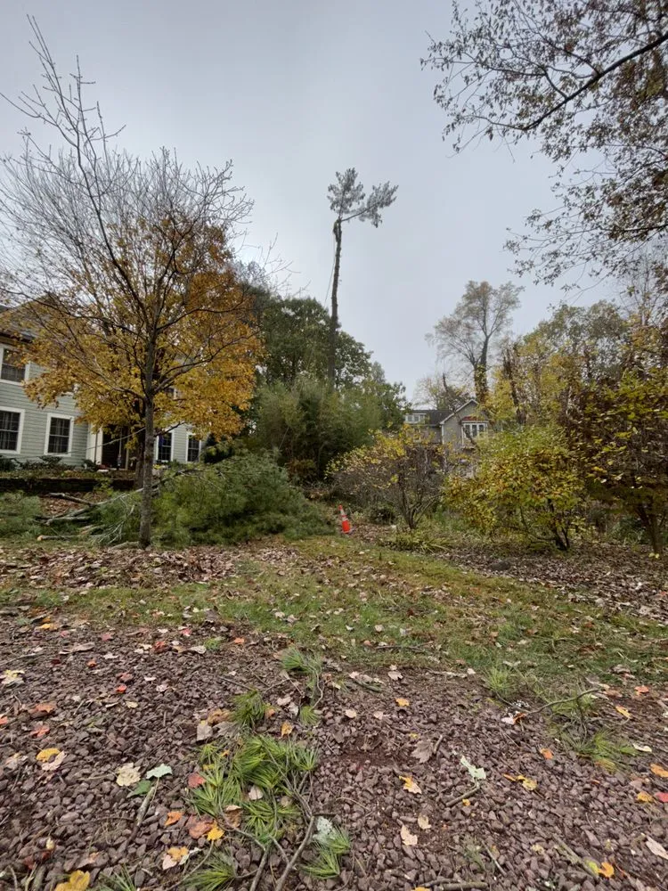 Custom landscape design experts serving Bowie, MD - JC Landscaping