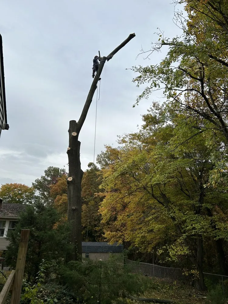 Affordable lawn care service near you across Bowie, MD - JC Landscaping