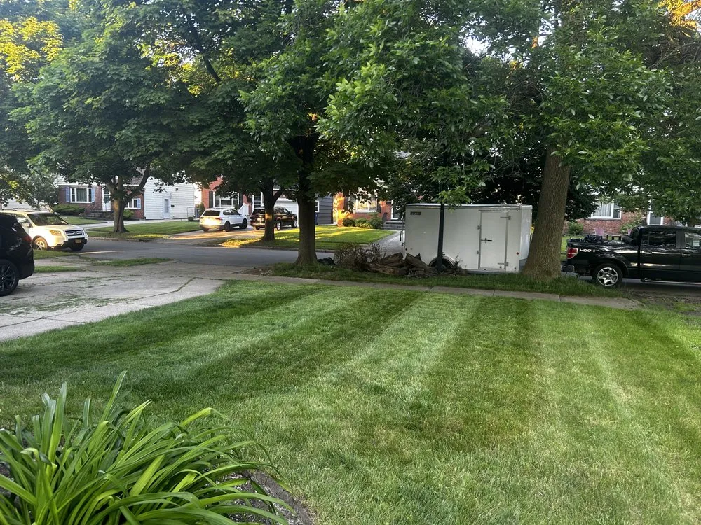 Top-rated landscape installation for beautiful yards across Buffalo, NY - JC Landscaping