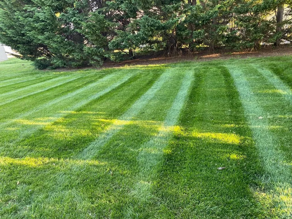 Affordable residential landscaping in Buffalo, NY - JC Landscaping