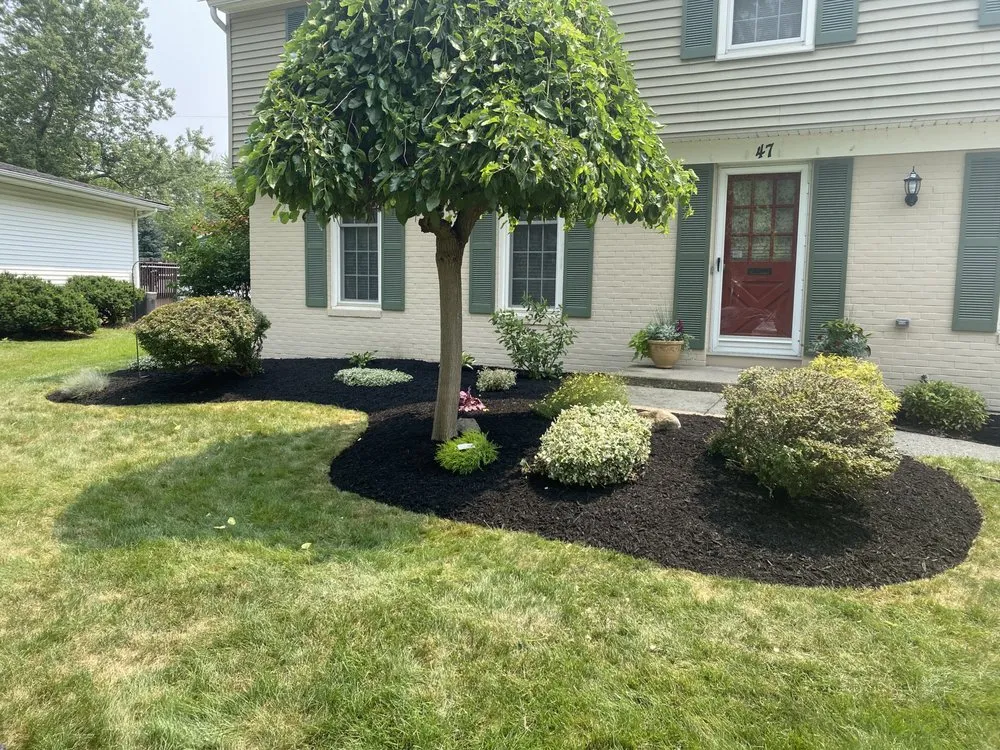 Top-rated yard cleanup service in Buffalo, NY - JC Landscaping