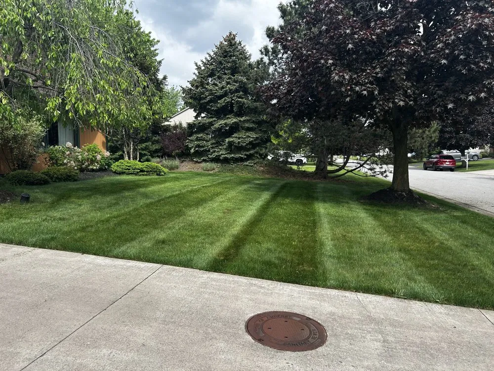 Trusted yard cleanup service near you across Buffalo, NY - JC Landscaping
