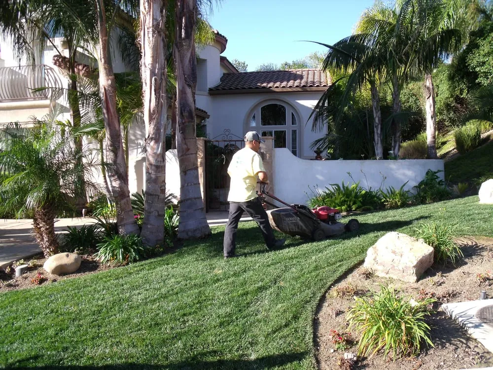 Reliable lawn care service experts serving Camarillo, CA - JC Landscaping