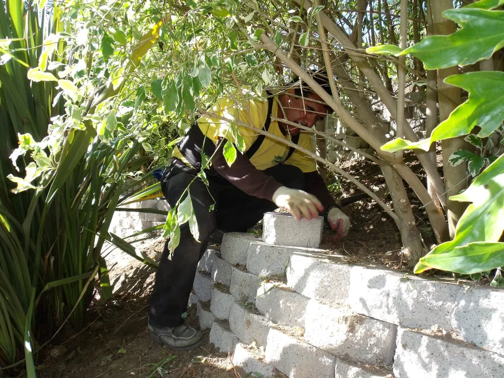 Professional lawn mowing service for outdoor upgrades in Camarillo, CA by JC Landscaping