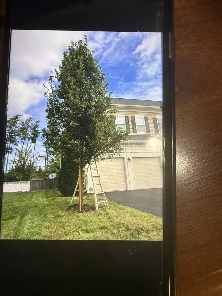 Custom residential landscaping for year-round maintenance across Centreville, VA - JC Landscaping