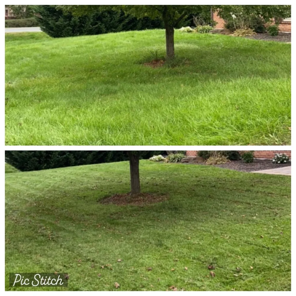 Reliable outdoor landscaping for outdoor upgrades in Elizabethtown, PA by JC Landscaping