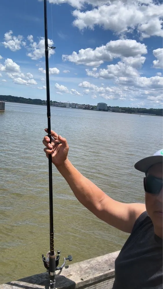 Reliable residential landscaping in Fairfax, VA by Jc Landscaping