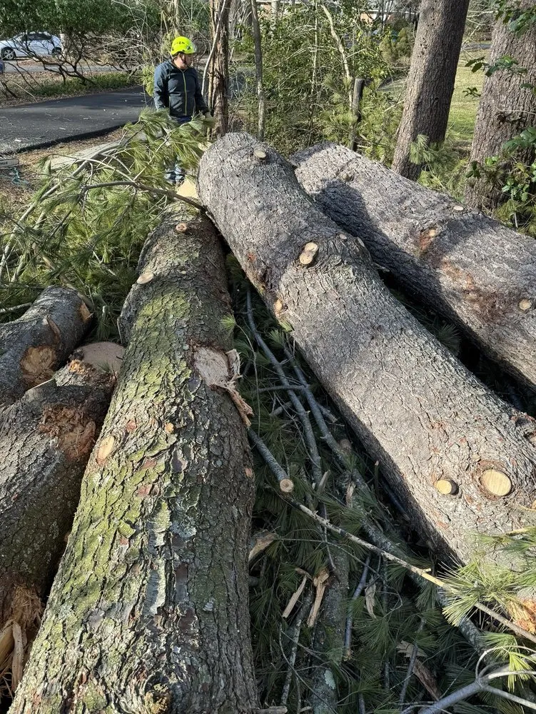 Top-rated landscaping services experts serving Fairfax, VA - Jc Landscaping